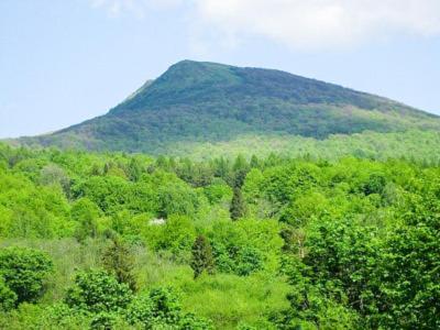 Caloroczne Domki Zacisze Hnatowego Berda W Wetlinie เวทลีนา ภายนอก รูปภาพ