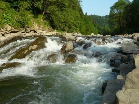 Caloroczne Domki Zacisze Hnatowego Berda W Wetlinie เวทลีนา ภายนอก รูปภาพ